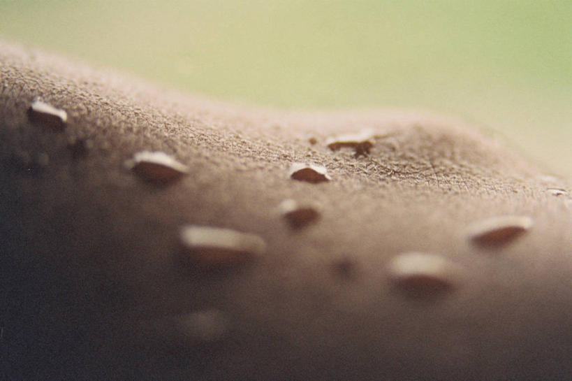 西方人,一个人,横图,室内,特写,白天,正面,水,欧洲,欧洲人,仅一个男性,仅一个人,朦胧,模糊,液体,水滴,肩膀,仅一个年轻男性,皮肤,男人,男性,年轻男性,白种人,半身,彩图