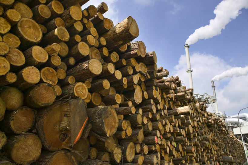 无人,工厂,横图,室外,白天,仰视,烟囱,一排,许多,阴影,整齐,光线,影子,云,云朵,树桩,很多,云彩,树,树干,排列,蓝色,白云,蓝天,天空,阳光,天,木桩,晴朗,堆,污染,危害,队列,有害,环境污染,晴空,彩图,低角度拍摄,工地,制造厂,大气污染