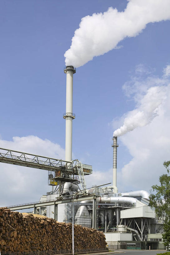 无人,工厂,竖图,室外,白天,仰视,烟囱,植物,一排,许多,阴影,整齐,光线,影子,云,云朵,树桩,很多,云彩,树,树干,树木,排列,蓝色,绿色,白云,蓝天,天空,阳光,自然,天,木桩,生长,晴朗,成长,堆,污染,危害,队列,有害,环境污染,晴空,彩图,低角度拍摄,工地,制造厂,大气污染