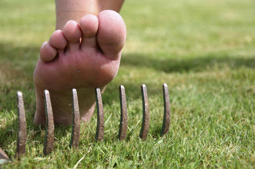 西方人,腿部,脚,脚趾,脚趾甲,腿,一个人,站,横图,室外,特写,白天,正面,草地,草坪,植物,欧洲,欧洲人,仅一个男性,仅一个人,阴影,朦胧,模糊,光线,叉子,影子,光脚,草,仅一个年轻男性,一个,绿色,阳光,站着,赤脚,单个,农具,耕具,男人,男性,年轻男性,白种人,脚指甲,站立,半身,彩图,干草叉