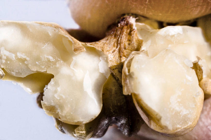 无人,横图,室内,特写,白天,正面,蔬菜,水果,切开,阴影,新鲜,反射,影子,生食,食品,果实,蔬果,食物,蓝色,切,有机食品,绿色食品,剖面,切面,彩图