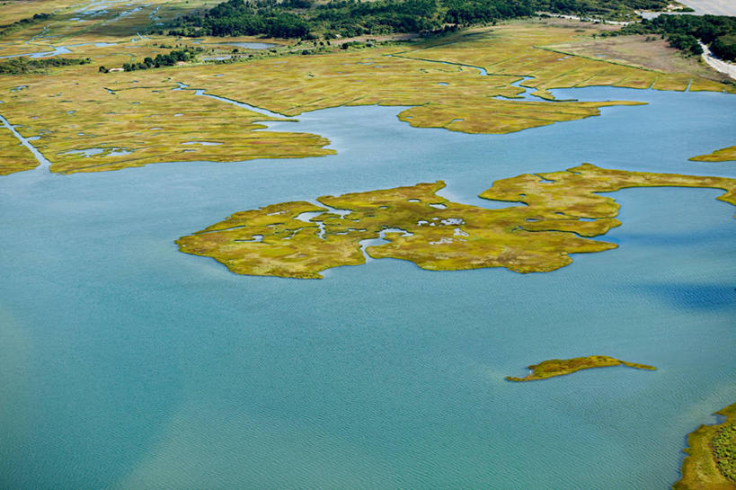 无人,横图,俯视,航拍,室外,白天,旅游,度假,草地,草坪,海浪,海洋,美景,沙滩,植物,美国,沙子,海岸,景观,浪花,沙地,娱乐,草,树,树木,绿色,自然,海水,享受,休闲,景色,放松,生长,成长,北美,北美洲,罗得岛,鸟瞰,自然风光,美洲,海景,罗德岛,北亚美利加洲,亚美利加洲,罗得岛州,海洋之州,布洛克岛,大海,风浪,海,海水的波动,海滩,近岸浪,涌浪,彩图,高角度拍摄,美利坚合众国