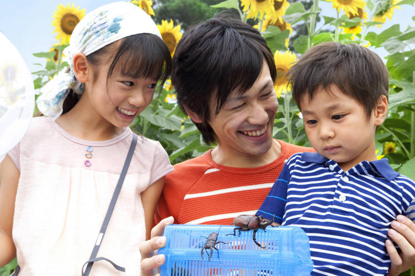 东方人,儿童,四个人,家庭,夫妻,母亲,父亲,女儿,儿子,站,笑,微笑,露齿笑,横图,室外,白天,正面,爱情,幸福,纯洁,花海,花圃,太阳,植物,向日葵,叶子,亚洲,阴影,服装,盛开,光线,昆虫,头巾,影子,甲壳虫,浪漫,花蕾,注视,休闲装,黄种人,花,花瓣,花朵,花卉,鲜花,一只,小孩,衣服,蓝色,绿色,蓝天,天空,阳光,动物,花丛,花束,花田,天,花苞,花蕊,观察,看,站着,休闲,温暖,温馨,父女,父子,母女,母子,一家人,休闲服,恩爱,父爱,可爱,母爱,童年,童趣,恋人,服饰,晴朗,观看,和睦,察看,关注,甲虫,光辉,童真,烂漫,无邪,沉默,忠诚,万里无云,害虫,勇敢,投缘,爱慕,锹甲虫,锹型虫,锹型甲,高傲,天真,朝阳花,葵花,望日莲,向阳花,转日莲,男孩,男人,男性,年轻男性,年轻女性,女孩,女人,女性,亚洲人,孩子,年轻人,夫妇,情侣,晴空,晴空万里,站立,半身,彩图,伴侣,融洽,男生,女生