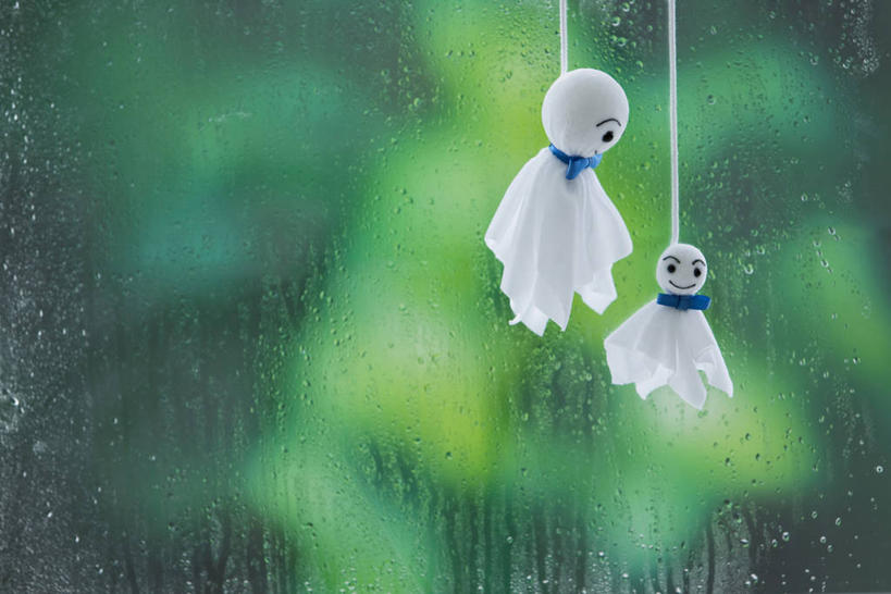 无人,横图,室内,特写,白天,正面,雨,植物,窗户,吊挂,悬挂,朦胧,模糊,挂,文化,玻璃窗,树,树木,绿色,自然,祈祷,两只,健康,许愿,生长,成长,纪念,细雨,祈求,晴天娃娃,放晴娘,晴天和尚,扫晴娘,扫天婆,平安,小雨,彩图