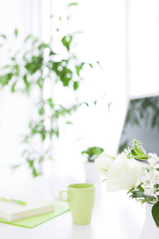 无人,办公室,竖图,室内,白天,正面,爱情,幸福,纯洁,热情,电脑,笔记本电脑,植物,家具,桌子,玫瑰,杯子,阴影,朦胧,模糊,盛开,反射,网络,瓷器,盆栽,影子,办公桌,玫瑰花,咖啡杯,盆景,陶瓷制品,浪漫,花蕾,通讯设备,花,花瓣,花朵,鲜花,绿色,自然,白玫瑰,花苞,花蕊,温暖,温馨,恩爱,生长,成长,一台,和睦,无线,瓷杯,通信设备,无线网络,感动,无线上网,便携式电脑,办公家具,尊敬,天真,刺玫花,徘徊花,手提电脑,彩图,融洽