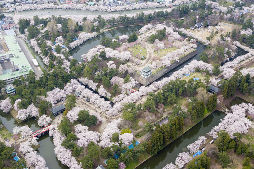 无人,公园,横图,俯视,航拍,室外,白天,旅游,度假,幸福,纯洁,草地,草坪,河流,美景,树林,水,植物,樱花,日本,亚洲,盛开,河水,景观,水流,花蕾,娱乐,草,花,花瓣,花朵,鲜花,树,树木,绿色,自然,花苞,花蕊,享受,休闲,景色,放松,生长,成长,等待,生命,鸟瞰,自然风光,东亚,本州,本州岛,日本国,青森,青森县,东北地方,仙樱花,福岛樱,青肤樱,高尚,热烈,弘前,弘前市,荆桃,彩图,高角度拍摄,青森弘前公园