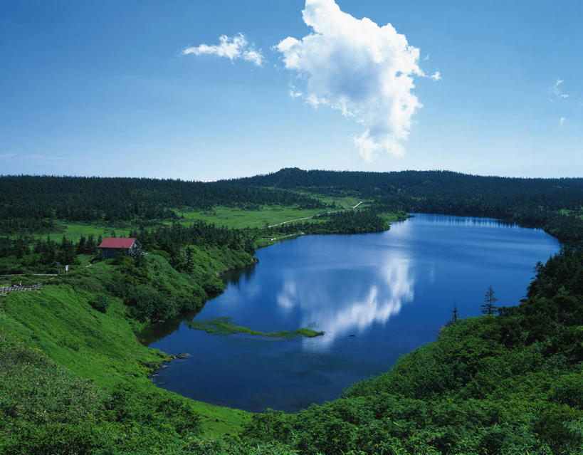 无人,横图,俯视,室外,白天,旅游,度假,湖,湖泊,美景,森林,树林,水,植物,日本,亚洲,阴影,光线,影子,湖面,景观,水流,水面,云,云朵,云彩,娱乐,树,树木,蓝色,绿色,白云,蓝天,天空,阳光,自然,湖水,天,享受,休闲,景色,放松,生长,晴朗,成长,自然风光,东亚,本州,本州岛,日本国,岩手,岩手县,东北地方,八幡平市,晴空,彩图,高角度拍摄