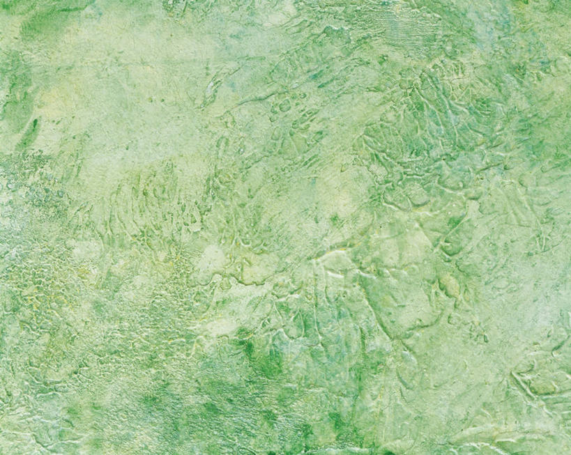 无人,横图,室外,特写,白天,正面,静物,新鲜,墙,墙壁,墙面,绿色,青春,生命,和平,安详,冷色,彩图