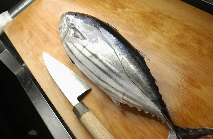 海鲜,无人,躺,横图,俯视,室内,特写,白天,金属制品,一条,金属,鱼,工具,案板,刀具,鲣鱼,水产,鱼类,海洋生物,砧板,刀,死亡,水生动物,菜刀,海产品,水生物,海底动物,切菜刀,小金枪鱼,炸弹鱼,殒命,灭亡,卧着,躺着,卧,半身,彩图,高角度拍摄
