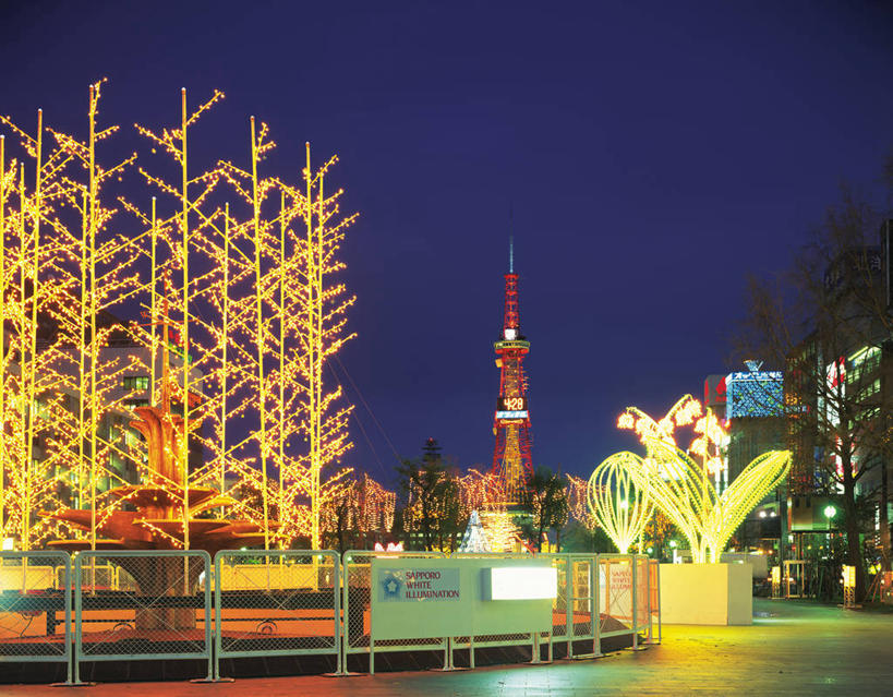 无人,横图,室外,夜晚,正面,度假,美景,树林,植物,城市风光,城市,夜景,照明,北海道,日本,圣诞节,亚洲,阴影,节日,庆祝,光线,彩灯,影子,景观,灯光,文化,娱乐,灯,树,树木,绿色,自然,灯具,庆典,享受,休闲,景色,放松,花灯,生长,成长,纪念,照亮,照明设备,圣诞灯,东亚,札幌,大通公园,日本国,北海道地方,北海道岛,县厅,札幌电视塔,彩图,札幌市