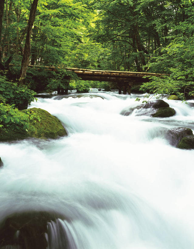 无人,竖图,室外,白天,正面,旅游,度假,河流,石头,美景,森林,树林,水,植物,日本,亚洲,阴影,朦胧,模糊,光线,石子,影子,河水,景观,水流,青苔,苔藓,娱乐,树,树木,绿色,小溪,阳光,自然,溪水,享受,休闲,景色,放松,生长,成长,自然风光,东亚,本州,本州岛,日本国,青森,青森县,东北地方,奥入濑溪谷,十和田市,十和田,石块,岩石,彩图