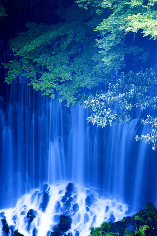 无人,竖图,俯视,室外,白天,旅游,度假,美景,瀑布,水,植物,长野县,日本,亚洲,阴影,飞溅,朦胧,模糊,溅,光线,液体,影子,景观,水滴,娱乐,水珠,树,树木,绿色,阳光,自然,享受,休闲,景色,放松,生长,成长,喷洒,自然风光,东亚,本州,本州岛,日本国,中部地方,长野,轻井泽,轻井泽町,白丝瀑布,跌水,彩图,高角度拍摄,北佐久郡