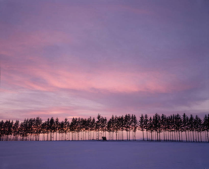 无人,横图,室外,白天,正面,旅游,度假,美景,日落,树林,雪,植物,大雪,北海道,日本,亚洲,积雪,景观,晚霞,霞光,雪景,冬季,冬天,落日,娱乐,树,树木,绿色,自然,黄昏,享受,休闲,景色,彩霞,放松,寒冷,生长,成长,自然风光,东亚,日本国,北海道地方,北海道岛,严寒,夕照,薄暮,夕阳,彩图,傍晚,鄂霍次克综合振兴局,网走郡,大空町,斜阳,道东,网走支厅
