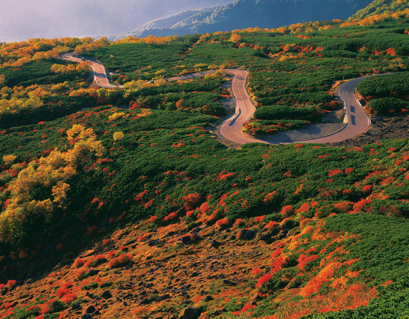无人,横图,室外,白天,正面,旅游,度假,美景,秋季,森林,山,山脉,树林,植物,道路,路,汽车,长野县,日本,亚洲,阴影,曲折,弯曲,光线,影子,景观,山峰,小路,交通,山峦,娱乐,车,树,树木,绿色,阳光,自然,交通工具,轿车,群山,享受,休闲,景色,放松,蜿蜒,生长,成长,自然风光,载具,东亚,本州,本州岛,日本国,中部地方,岐阜,岐阜县,长野,乘鞍高原,秋,秋天,彩图