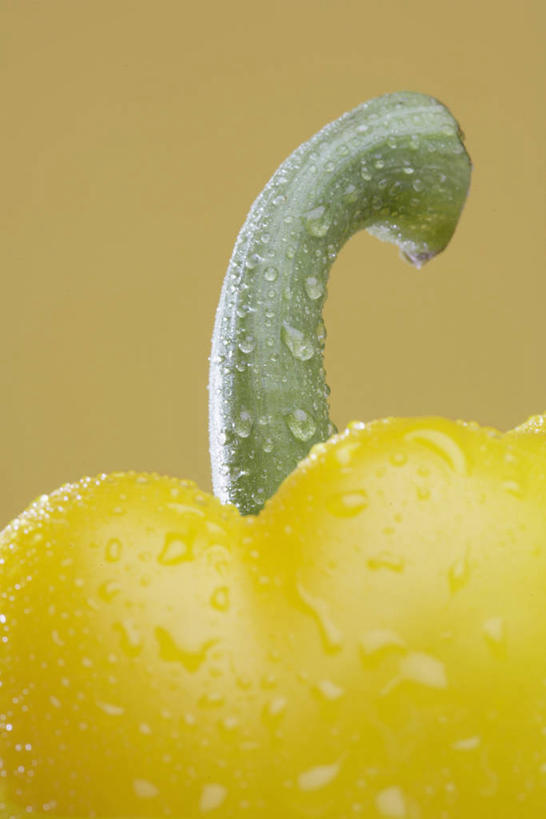 无人,竖图,室内,特写,白天,正面,水,辣椒,蔬菜,阴影,黄色背景,新鲜,反射,液体,影子,水滴,食品,食物,一个,黄色,摄影,有机食品,绿色食品,影棚,单个,黄辣椒,彩椒,辣角,红海椒,大椒,辣虎,广椒,甜椒,柿子椒,辣子,海椒,番椒,灯笼椒,彩图,影棚拍摄,拍摄,黄灯笼辣椒,黄帝椒