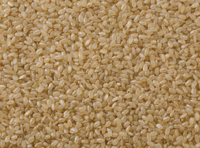 无人,横图,俯视,室内,特写,白天,一堆,许多,阴影,堆叠,堆积,丰富,反射,影子,谷类,谷物,褐色,米,很多,大米,糙米,成熟,摄影,影棚,堆,谦让,随和,玄米,彩图,高角度拍摄,全画面,全框架,全帧,影棚拍摄,拍摄,全画幅