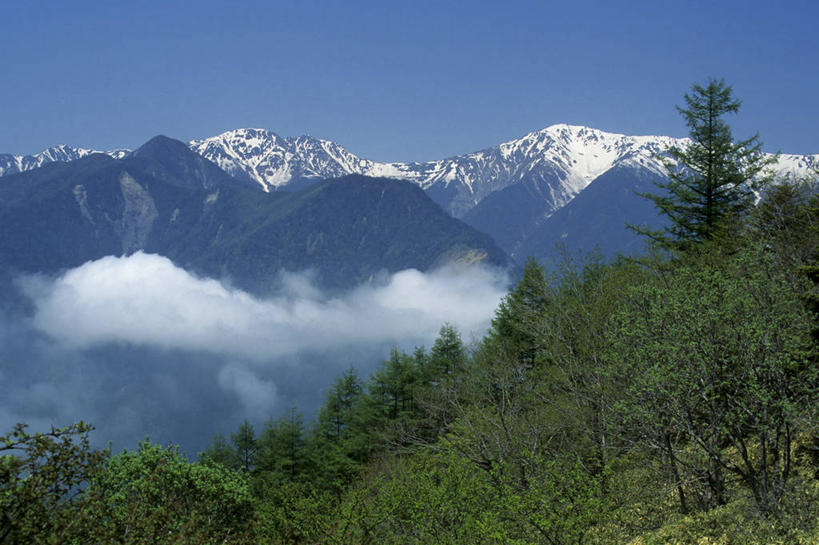 无人,横图,室外,白天,正面,旅游,度假,美景,森林,山,树林,雪,雪山,植物,大雪,长野县,静冈县,日本,亚洲,阴影,光线,影子,冰,积雪,景观,山峰,雪景,冬季,冬天,山峦,娱乐,树,树木,蓝色,绿色,蓝天,天空,阳光,自然,天,享受,休闲,景色,放松,寒冷,生长,晴朗,成长,冰冷,自然风光,东亚,本州,万里无云,本州岛,日本国,中部地方,静冈,山梨,山梨县,长野,严寒,冰凉,酷寒,凛冽,凛凛,极冷,晴空,晴空万里,彩图,赤石山脉,南阿尔卑斯