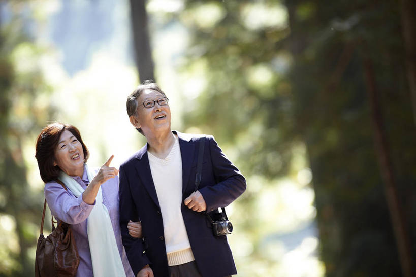 东方人,老年人,两个人,家庭,夫妻,站,笑,微笑,露齿笑,横图,室外,白天,正面,爱情,旅游,度假,美景,森林,树林,植物,亚洲,一副,指,阴影,服装,朦胧,模糊,光线,包,皮包,眼镜,影子,景观,树桩,浪漫,注视,指点,休闲装,黄种人,娱乐,树,树干,树木,衣服,绿色,阳光,自然,观察,看,站着,享受,休闲,温暖,温馨,一家人,休闲服,木桩,景色,恩爱,放松,恋人,服饰,生长,成长,观看,老花镜,单肩包,和睦,察看,指向,关注,自然风光,远视眼镜,老年男性,老年女性,男人,男性,女人,女性,亚洲人,夫妇,情侣,站立,半身,彩图,伴侣,融洽