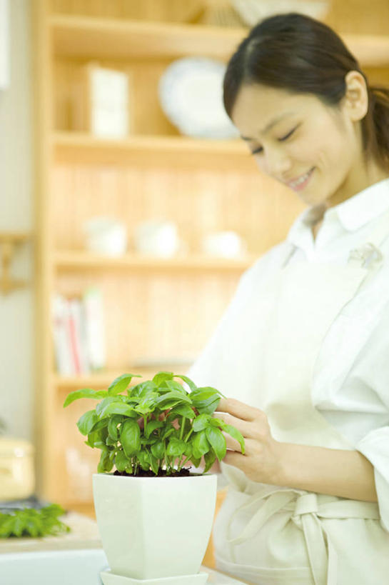 东方人,一个人,站,笑,微笑,竖图,室内,白天,侧面,衬衫,植物,厨房,餐具,叶子,花盆,亚洲,仅一个年轻女性,仅一个女性,仅一个人,握,阴影,服装,朦胧,模糊,反射,碟子,盘,盆栽,围裙,影子,陶瓷,墙,枯叶,落叶,盆景,陶瓷制品,置物架,注视,休闲装,黄种人,架子,墙壁,墙面,衣服,绿色,自然,盘子,容器,碟,低头,观察,看,站着,休闲,休闲服,握着,服饰,生长,成长,观看,储藏,察看,挑选,储存,关注,选择,陈列架,垂头,采选,遴选,筛选,挑拣,挑撰,搁架,年轻女性,女人,女性,亚洲人,叶,叶片,站立,半身,彩图,衬衣,灶间,贮存