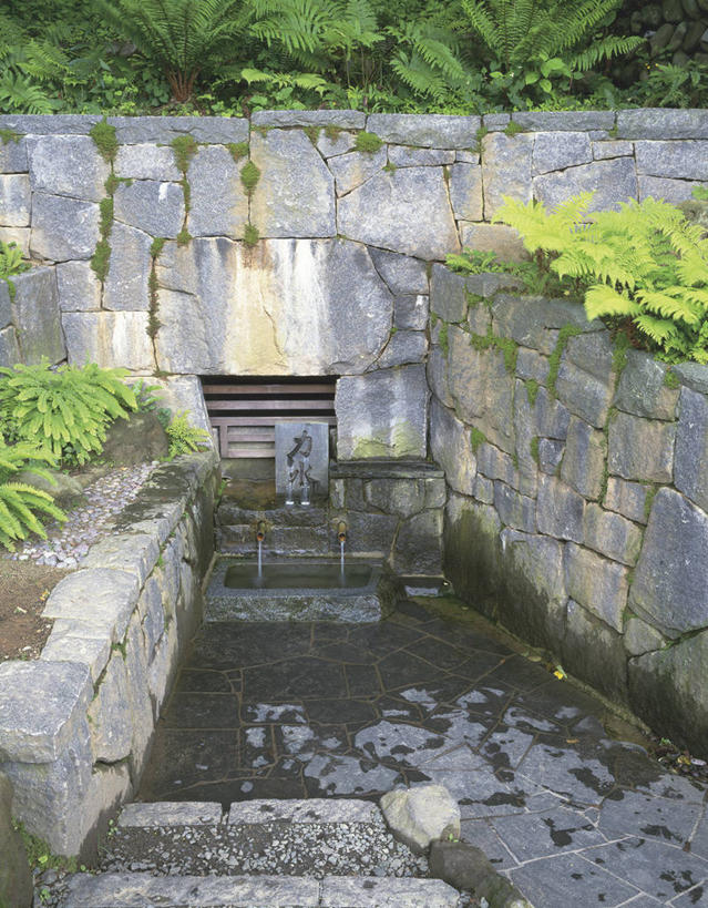 无人,竖图,俯视,室外,白天,旅游,度假,河流,石头,美景,水,植物,秋田县,日本,亚洲,石子,墙,河水,景观,水流,青苔,苔藓,娱乐,墙壁,墙面,树,树木,绿色,自然,享受,休闲,景色,放松,生长,成长,自然风光,东亚,本州,本州岛,日本国,秋田,东北地方,汤泽,汤泽市,石块,岩石,彩图,高角度拍摄