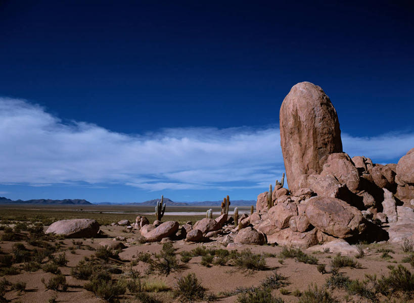 无人,横图,室外,白天,正面,旅游,度假,石头,美景,沙漠,植物,仙人掌,阿根廷,阴影,光线,火焰,石子,影子,景观,云,云朵,草药,云彩,娱乐,中药,蓝色,白云,蓝天,天空,阳光,自然,天,享受,休闲,景色,南美,放松,晴朗,南美洲,拉丁美洲,自然风光,美洲,药材,中草药,中药材,本草,牛舌头,亚美利加洲,南亚美利加洲,阿根廷共和国,胡胡伊,胡胡伊省,大漠,砂漠,石块,岩石,晴空,玉芙蓉,仙巴掌,火掌,霸王树,彩图