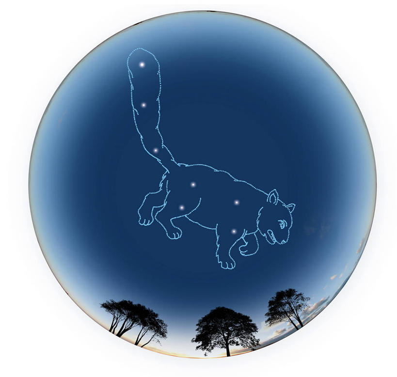 无人,横图,插画,室内,白天,白色背景,正面,探险,神秘,数码,宇宙,科技,植物,阴影,科学,太空,网络,圆形,图形,圆,高光,几何,计算机图形,合成,图画,画,树,树木,绿色,自然,探索,生长,成长,发现,电脑合成图,数码合成图,天体,合成图,数学,漫画,天文学,外太空,写实,具体,具象,小熊座,彩图,几何图形,平面图形