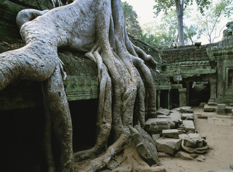 无人,寺庙,横图,室外,白天,正面,旅游,度假,石头,名胜古迹,植物,标志建筑,地标,建筑,柬埔寨,亚洲,一堆,许多,堆叠,堆积,节日,遗迹,石子,枝条,很多,燃烧,古迹,文化,文物,娱乐,建设,古建筑,树,树木,树枝,绿色,天空,自然,香火,庙宇,天,祈祷,享受,休闲,健康,旅游胜地,放松,许愿,宗教,东南亚,信仰,生长,成长,纪念,堆,祈求,古文明,暹粒,高棉,塔普伦寺,塔布茏寺,柬埔寨王国,吉蔑,虬枝,枝杈,大吴哥城,吴哥,吴哥城,吴哥通王城,平安,石块,岩石,彩图,庙,寺