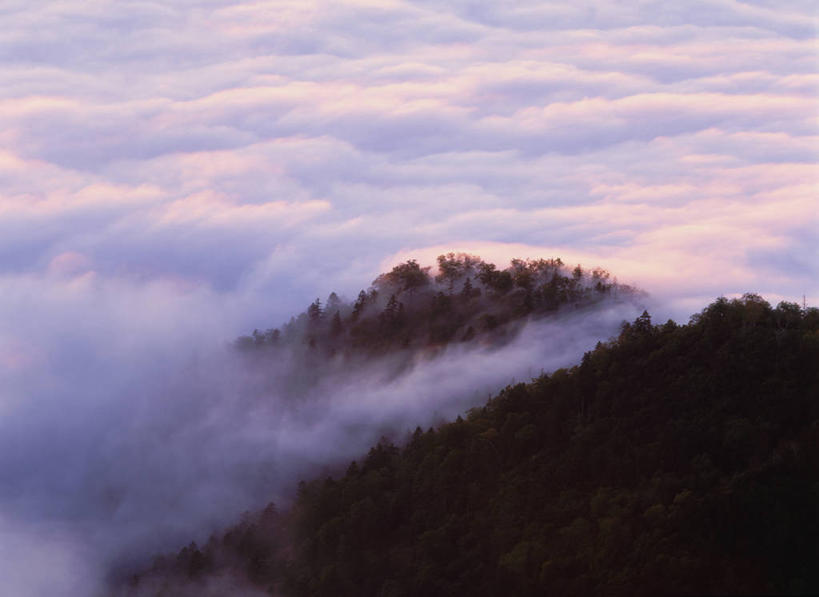 无人,横图,俯视,室外,白天,旅游,度假,日出,美景,森林,山,山脉,树林,太阳,植物,北海道,日本,亚洲,阴影,光线,影子,景观,山峰,云,云朵,云海,朝霞,晨曦,黎明,山峦,云层,云彩,娱乐,树,树木,绿色,白云,阳光,自然,群山,享受,休闲,景色,放松,生长,成长,自然风光,东亚,日本国,北海道地方,北海道岛,自然景观,朝阳,彩图,高角度拍摄,卯时,破晓,日始,鄂霍次克综合振兴局,津别町,网走郡,道东,网走支厅