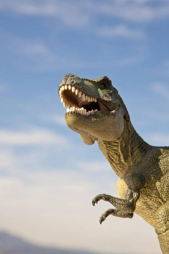 无人,站,竖图,室外,白天,仰视,山,山脉,雕塑,阴影,朦胧,模糊,艺术,装饰,光线,雕刻,雕像,影子,山峰,云,云朵,山峦,云彩,注视,一只,蓝色,白云,蓝天,天空,阳光,工艺品,群山,天,观察,看,站着,张嘴,恐龙,晴朗,观看,纪念,美术,察看,关注,主题,凶猛,陈列,张大嘴巴,霸王龙,功能,美学,灭尽,灭绝,暴龙,雷克斯暴龙,雷克斯龙,史前动物,凶残,晴空,张开嘴,站立,半身,彩图,低角度拍摄