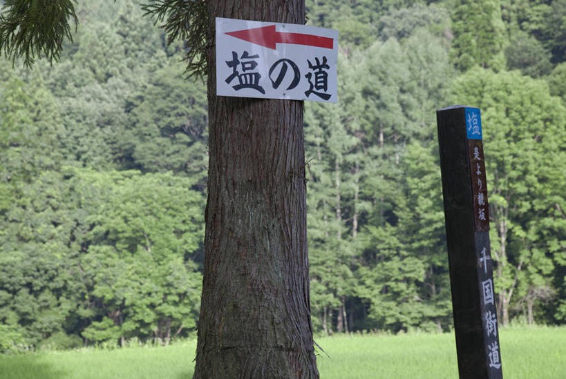 无人,横图,室外,白天,正面,旅游,度假,草地,草坪,美景,森林,树林,植物,阴影,环保,光线,日文,标志,文字,影子,字符,景观,树桩,方向,娱乐,标识,箭头,草,树,树干,树木,绿色,阳光,自然,享受,休闲,木桩,景色,放松,生长,能源,成长,回收,资源,指向,自然风光,利用,低碳,循环,簇,日语,持续,彩图