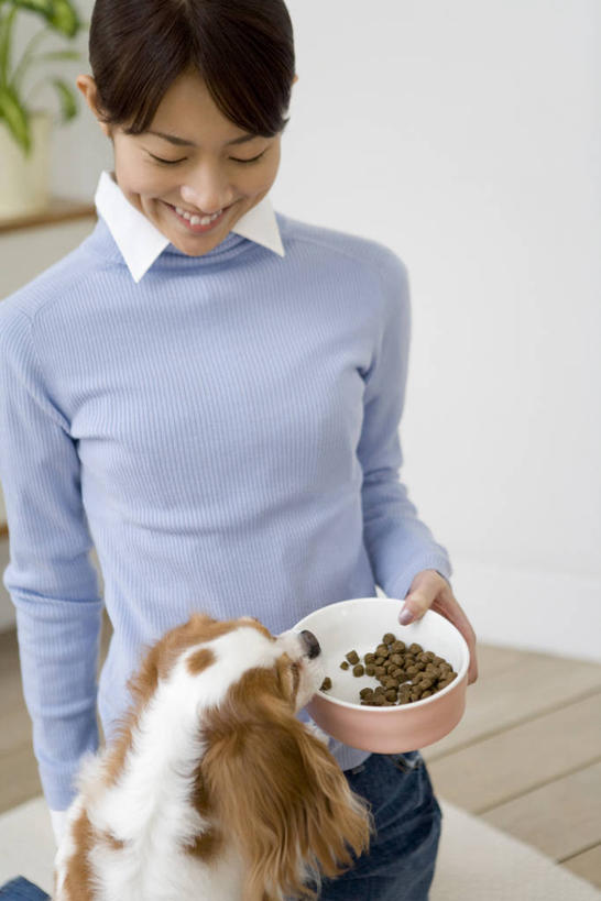 东方人,一个人,站,笑,微笑,露齿笑,竖图,室内,白天,正面,植物,宠物,狗,亚洲,仅一个年轻女性,仅一个女性,仅一个人,握,服装,盆栽,塑料,食品,盆景,营养,拿,拿着,注视,休闲装,黄种人,骑士查理王猎犬,食物,一只,衣服,绿色,自然,动物,容器,塑料制品,碗,低头,观察,看,站着,休闲,休闲服,可爱,握着,服饰,生长,成长,观看,储藏,察看,狗粮,储存,关注,饲料,垂头,查理士王小猎犬,查理王小猎犬,骑士查理王犬,年轻女性,女人,女性,亚洲人,犬,站立,半身,彩图,犬粮,狗碗,贮存