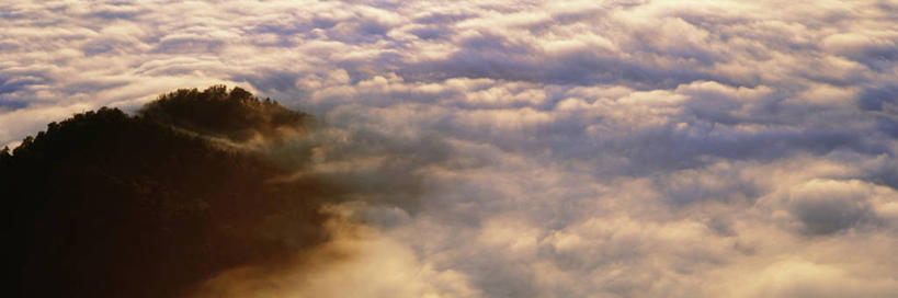 无人,横图,俯视,航拍,室外,白天,旅游,度假,美景,森林,山,山脉,树林,植物,雾,北海道,日本,亚洲,阴影,朦胧,模糊,光线,影子,景观,山峰,云,云朵,山峦,云彩,娱乐,树,树木,蓝色,绿色,白云,蓝天,天空,阳光,自然,群山,天,享受,休闲,景色,放松,生长,晴朗,成长,迷雾,鸟瞰,自然风光,东亚,日本国,北海道地方,北海道岛,大雾,晴空,彩图,高角度拍摄,鄂霍次克综合振兴局,津别町,网走郡,道东,网走支厅