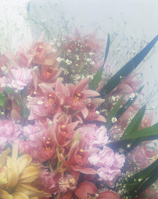 无人,竖图,俯视,室内,特写,白天,智慧,叶子,阴影,朦胧,模糊,艺术,装饰,盛开,反射,影子,绿叶,花蕾,文化,花,花瓣,花朵,鲜花,粉色,插花,花苞,花蕊,嫩叶,华丽,修饰,插花艺术,点缀,创造,高雅,创作,想象,衬托,美观,雅致,雅观,淡泊,花中君子,大花蕙兰,西姆比兰,兰花,叶,叶片,彩图,高角度拍摄