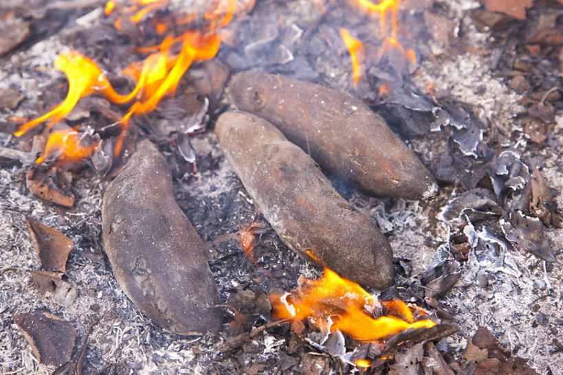 无人,横图,俯视,室外,特写,白天,热情,红薯,蔬菜,火,一堆,堆叠,堆积,朦胧,模糊,新鲜,火焰,木材,食品,燃烧,小吃,木柴,食物,有机食品,绿色食品,木料,堆,篝火,山芋,甘薯,番薯,地瓜,彩图,高角度拍摄,烘山芋,烤白薯,烤地瓜,烤番薯,烤红薯,煨番薯,营火