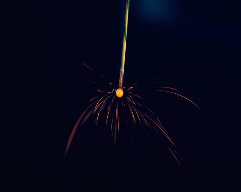 无人,横图,室外,特写,夜晚,正面,烟火,辉煌,焰火,灿烂,璀璨,礼花,仙女棒,光辉,花炮,礼花炮,绚烂,光耀,手持喷泉,手持烟花,烟花,彩图