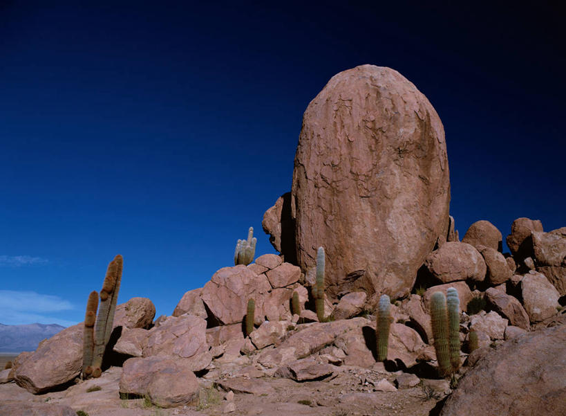 无人,横图,室外,白天,正面,旅游,度假,石头,美景,沙漠,植物,仙人掌,阿根廷,阴影,光线,火焰,石子,影子,景观,云,云朵,草药,云彩,娱乐,中药,蓝色,白云,蓝天,天空,阳光,自然,天,享受,休闲,景色,南美,放松,晴朗,南美洲,拉丁美洲,自然风光,美洲,药材,中草药,中药材,本草,牛舌头,亚美利加洲,南亚美利加洲,阿根廷共和国,胡胡伊,胡胡伊省,大漠,砂漠,石块,岩石,晴空,玉芙蓉,仙巴掌,火掌,霸王树,彩图