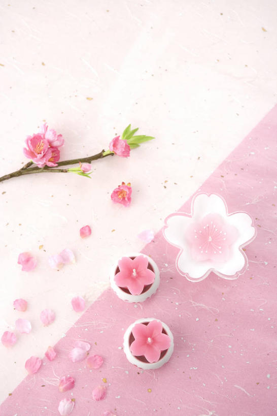 无人,竖图,俯视,室内,特写,白天,幸福,纯洁,樱花,阴影,节日,庆祝,盛开,反射,影子,枝条,花蕾,文化,花,花瓣,花朵,鲜花,树枝,花苞,花蕊,庆典,摄影,影棚,等待,纪念,生命,仙樱花,福岛樱,青肤樱,高尚,女儿节,热烈,虬枝,枝杈,荆桃,彩图,高角度拍摄,影棚拍摄,拍摄,雏祭,上巳