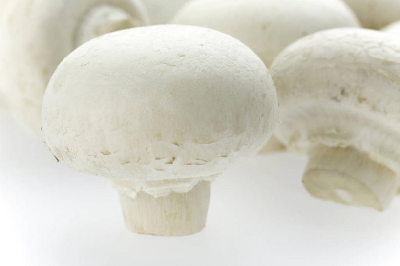 无人,横图,室内,特写,白天,白色背景,正面,蔬菜,许多,新鲜,菌菇,蘑菇,食品,很多,菌类,食物,白色,食用菌,摄影,有机食品,绿色食品,影棚,卫生,真菌,白蘑菇,洋蘑菇,纯真,洁净,草腐菌,二孢蘑菇,双孢蘑菇,光明,恬静,中间色,朴素,清白,彩图,影棚拍摄,拍摄