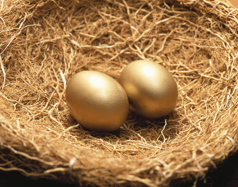 无人,横图,俯视,室内,特写,白天,阴影,环绕,缠绕,反射,鸟巢,鸟窝,影子,蛋,枝条,树枝,两个,金融,理财,经济,金蛋,纠缠,流通,贸易,卵,虬枝,枝杈,彩图,高角度拍摄