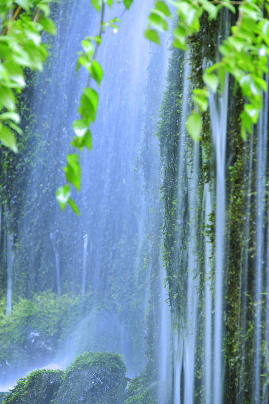 无人,竖图,室外,白天,正面,旅游,度假,美景,瀑布,树林,水,植物,长野县,日本,亚洲,阴影,飞溅,溅,光线,液体,影子,景观,水滴,娱乐,水珠,树,树木,绿色,阳光,自然,享受,休闲,景色,放松,生长,成长,喷洒,自然风光,东亚,本州,本州岛,日本国,中部地方,长野,轻井泽,轻井泽町,白丝瀑布,跌水,彩图,北佐久郡