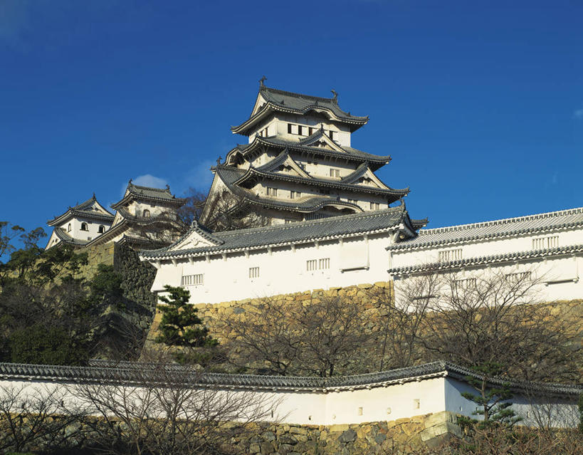 无人,横图,室外,白天,仰视,旅游,度假,名胜古迹,植物,标志建筑,地标,建筑,日本,亚洲,阴影,遗迹,光线,影子,堡垒,城堡,墙,古迹,文物,娱乐,建设,城墙,古建筑,墙壁,墙面,树,树木,蓝色,绿色,蓝天,天空,阳光,自然,天,享受,休闲,旅游胜地,放松,生长,晴朗,成长,坚硬,要塞,防御,古文明,东亚,本州,世界文化遗产,万里无云,本州岛,日本国,近畿地方,姬路城,近畿,兵库,兵库县,白鹭城,姬路,姬路市,坚固,设防,晴空,晴空万里,彩图,低角度拍摄