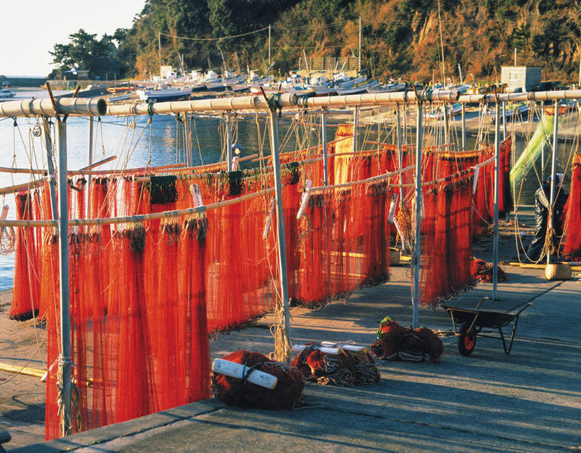 无人,横图,室外,白天,正面,旅游,度假,海浪,海洋,美景,树林,植物,静冈县,日本,亚洲,吊挂,悬挂,阴影,光线,影子,景观,浪花,挂,娱乐,树,树木,蓝色,绿色,蓝天,天空,阳光,自然,海水,绳子,天,享受,休闲,景色,放松,生长,渔网,晴朗,成长,绳索,渔具,抓捕,自然风光,捕捞,鱼网,海景,东亚,本州,万里无云,拉网,捕捞工具,本州岛,日本国,中部地方,静冈,伊豆半岛,南伊豆町,大海,风浪,海,海水的波动,近岸浪,涌浪,晴空,晴空万里,彩图