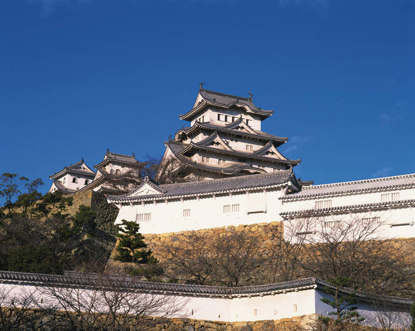 无人,横图,室外,白天,仰视,旅游,度假,名胜古迹,植物,标志建筑,地标,建筑,日本,亚洲,阴影,遗迹,光线,影子,堡垒,城堡,墙,古迹,文物,娱乐,建设,古建筑,墙壁,墙面,树,树木,蓝色,绿色,蓝天,天空,阳光,自然,天,享受,休闲,旅游胜地,放松,生长,晴朗,成长,要塞,古文明,东亚,本州,世界文化遗产,万里无云,本州岛,日本国,近畿地方,姬路城,近畿,兵库,兵库县,白鹭城,姬路,姬路市,设防,晴空,晴空万里,彩图,低角度拍摄