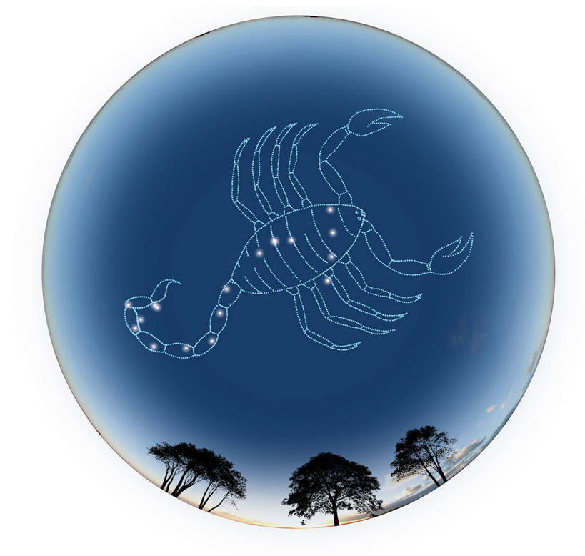 无人,横图,室内,白天,白色背景,正面,神秘,数码,科技,植物,阴影,网络,星星,高光,几何,计算机图形,合成,树,树木,蓝色,绿色,蓝天,天空,自然,天,星形,安静,星座,生长,成长,电脑合成图,数码合成图,准确,合成图,占卜,五角形,写实,具体,具象,孤傲,天蝎座,直觉,五角星,彩图