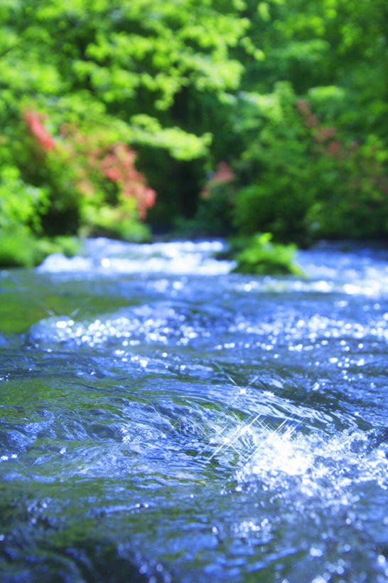 无人,竖图,室外,白天,正面,旅游,度假,河流,美景,森林,树林,水,植物,日本,亚洲,阴影,朦胧,模糊,光线,影子,河水,景观,水流,娱乐,树,树木,绿色,小溪,阳光,自然,溪水,享受,休闲,景色,放松,生长,成长,自然风光,东亚,本州,本州岛,日本国,青森,青森县,东北地方,奥入濑溪谷,十和田市,十和田,彩图