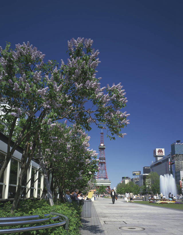 无人,竖图,室外,白天,正面,度假,草地,草坪,美景,植物,城市风光,城市,道路,路,北海道,日本,亚洲,阴影,光线,影子,景观,小路,交通,娱乐,草,树,树木,蓝色,绿色,蓝天,天空,阳光,自然,天,享受,休闲,景色,放松,生长,晴朗,成长,东亚,万里无云,札幌,大通公园,日本国,北海道地方,北海道岛,县厅,晴空,晴空万里,彩图,札幌市