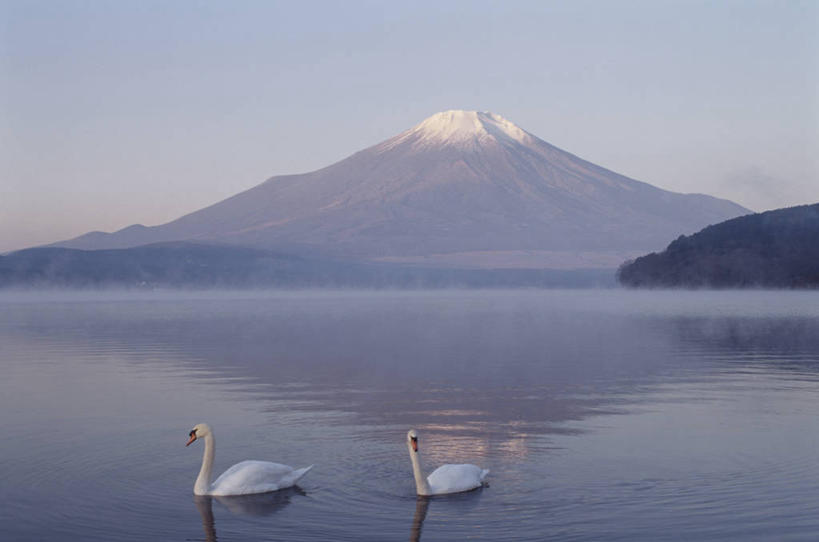 游泳,无人,横图,室外,白天,正面,旅游,度假,湖,湖泊,美景,山,水,雪,雪山,大雪,鸟,野生动物,天鹅,日本,亚洲,阴影,波纹,光线,鸟类,影子,冰,湖面,积雪,景观,山峰,水流,水面,雪景,冬季,冬天,涟漪,山峦,娱乐,蓝色,倒影,蓝天,水纹,天空,阳光,自然,动物,波浪,湖水,天,两只,享受,休闲,景色,放松,寒冷,可爱,晴朗,淡水湖,冰冷,倒映,自然风光,东亚,本州,万里无云,本州岛,日本国,中部地方,山梨,山梨县,水晕,严寒,冰凉,酷寒,凛冽,凛凛,极冷,泅水,富士五湖,山中湖,反照,拍浮,晴空,晴空万里,鹄,彩图,全身,南都留郡,富士河口湖町