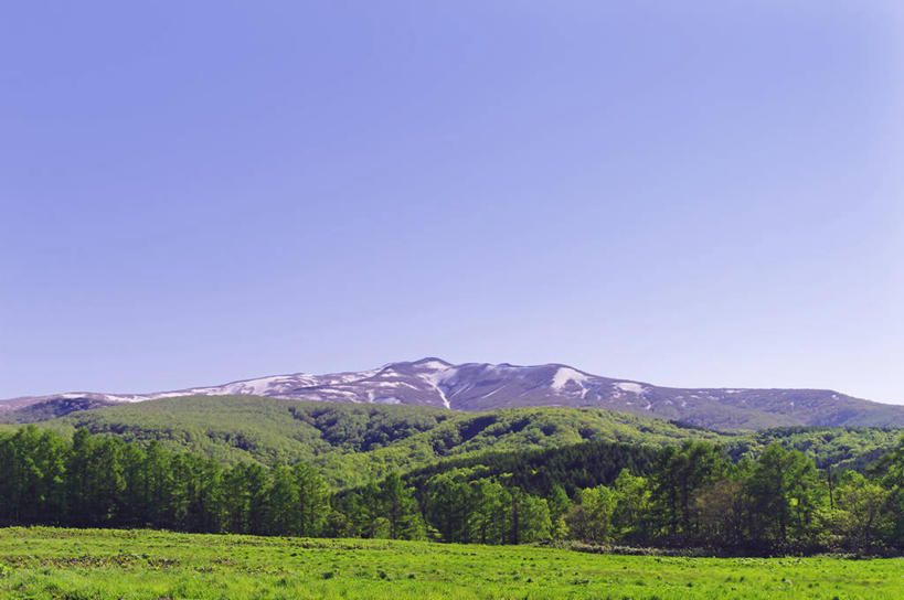 无人,横图,室外,白天,正面,旅游,度假,草地,草坪,石头,美景,森林,山,树林,雪,雪山,植物,大雪,北海道,日本,亚洲,阴影,光线,石子,影子,冰,积雪,景观,山峰,雪景,冬季,冬天,山峦,娱乐,草,树,树木,蓝色,绿色,蓝天,天空,阳光,自然,天,享受,休闲,景色,放松,寒冷,生长,晴朗,成长,冰冷,自然风光,东亚,万里无云,日本国,北海道地方,北海道岛,严寒,冰凉,酷寒,凛冽,凛凛,极冷,石块,岩石,晴空,晴空万里,彩图,后志支厅,后志综合振兴局,积丹,积丹半岛,道央