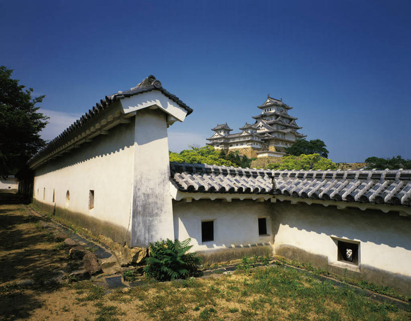 无人,横图,室外,白天,仰视,旅游,度假,草地,草坪,名胜古迹,植物,标志建筑,地标,建筑,日本,亚洲,阴影,遗迹,光线,瓦片,影子,堡垒,城堡,墙,屋顶,云,云朵,云彩,顶棚,瓦,古迹,文物,娱乐,建设,古建筑,墙壁,墙面,草,树,树木,蓝色,绿色,白云,蓝天,天空,阳光,自然,天,享受,休闲,旅游胜地,放松,建造,生长,晴朗,成长,要塞,古文明,东亚,屋瓦,本州,世界文化遗产,本州岛,日本国,近畿地方,姬路城,近畿,兵库,兵库县,白鹭城,姬路,姬路市,设防,晴空,彩图,低角度拍摄