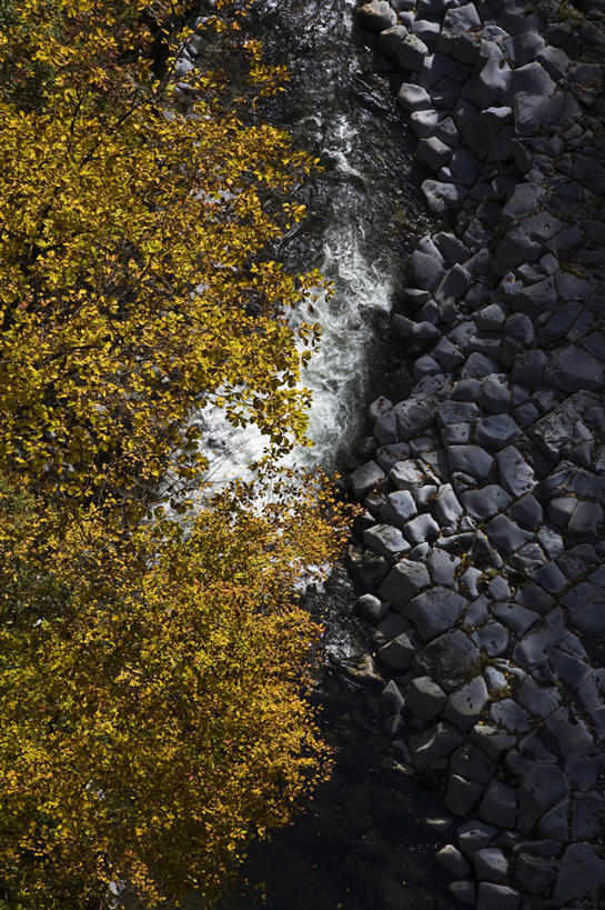 无人,竖图,俯视,室外,白天,旅游,度假,河流,石头,美景,秋季,水,植物,叶子,日本,亚洲,石子,河水,景观,水流,枯叶,落叶,娱乐,树,树木,绿色,自然,享受,休闲,景色,放松,生长,成长,自然风光,东亚,本州,本州岛,日本国,中部地方,岐阜,岐阜县,叶,叶片,石块,岩石,秋,秋天,彩图,高角度拍摄,中津川市